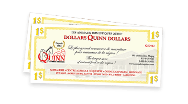 Dollars Quinn